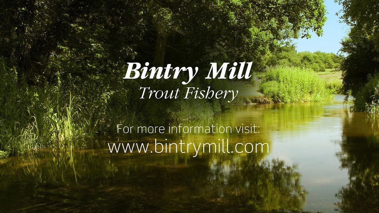 Fly Fishing