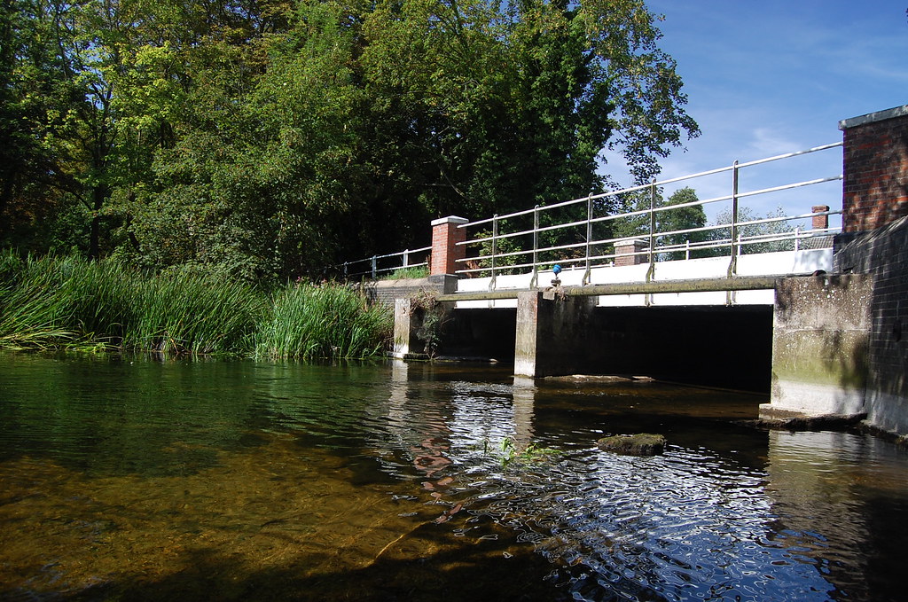 River Wensum Fishing