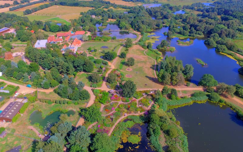 Pensthorpe