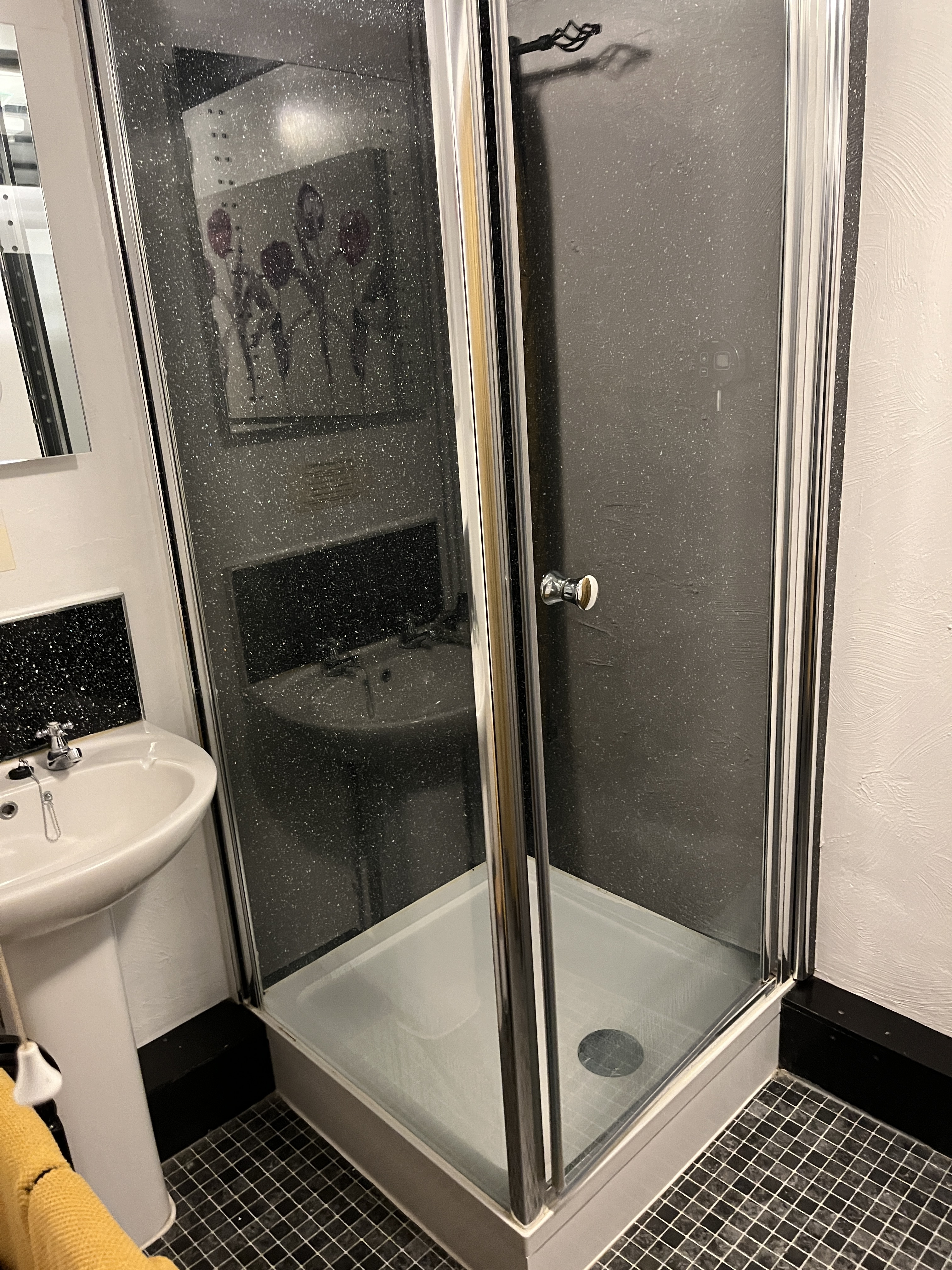 En-suite bathroom with walk-in shower and black sparkle tiles